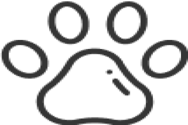 NGO
